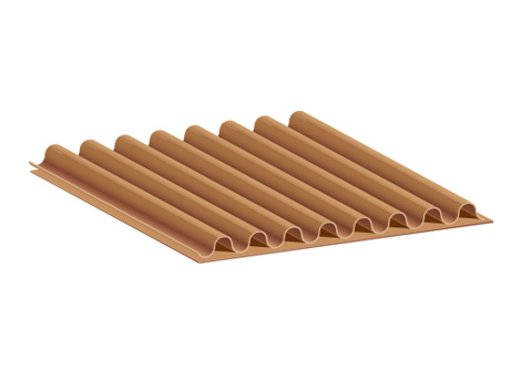 Carton 2 Lớp