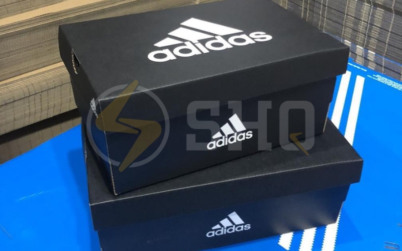 Địa chỉ bán hộp đựng giày Adidas uy tín